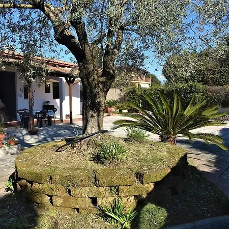 Tatil Evi Dimora Al Borgo Latina